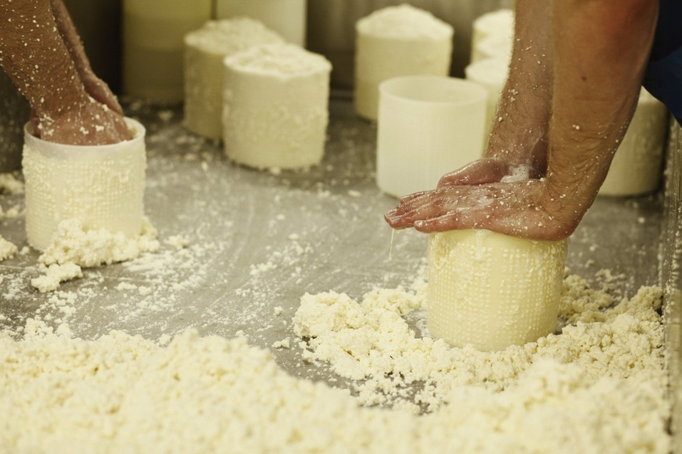 Готовим вкусненькое: кто и чем будет кормить гостей Business Residence? 10 Готовим вкусненькое: кто и чем будет кормить гостей Business Residence? 10