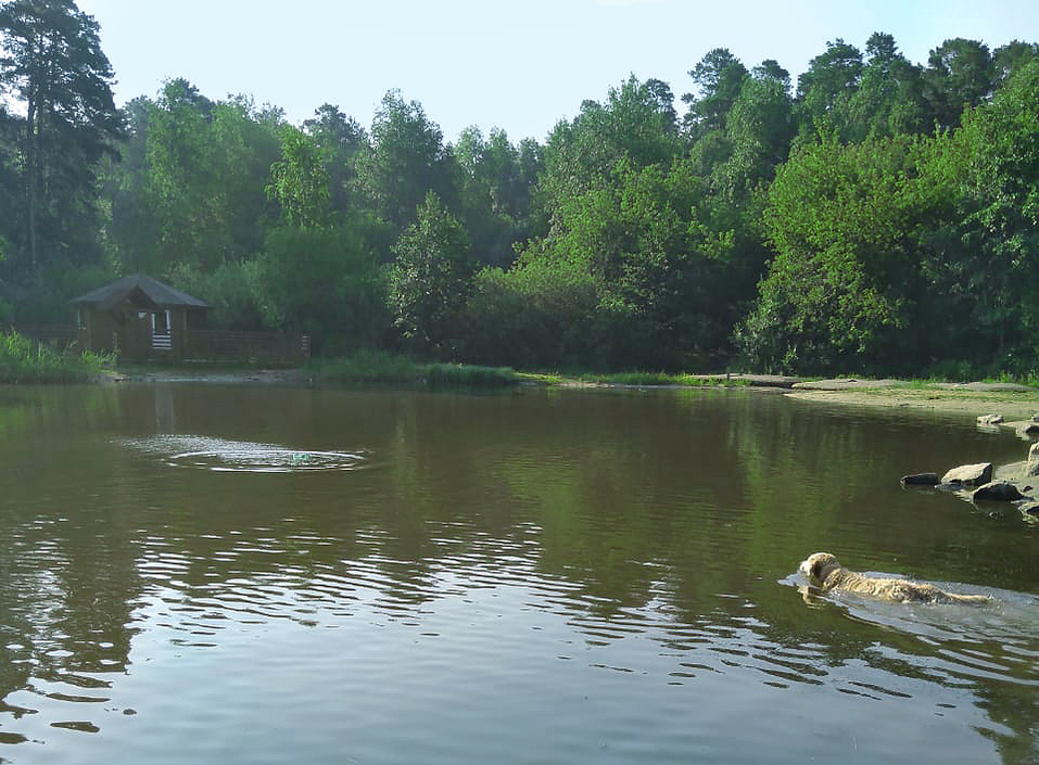 Трансформация рынка жилья - Деловой квартал 13