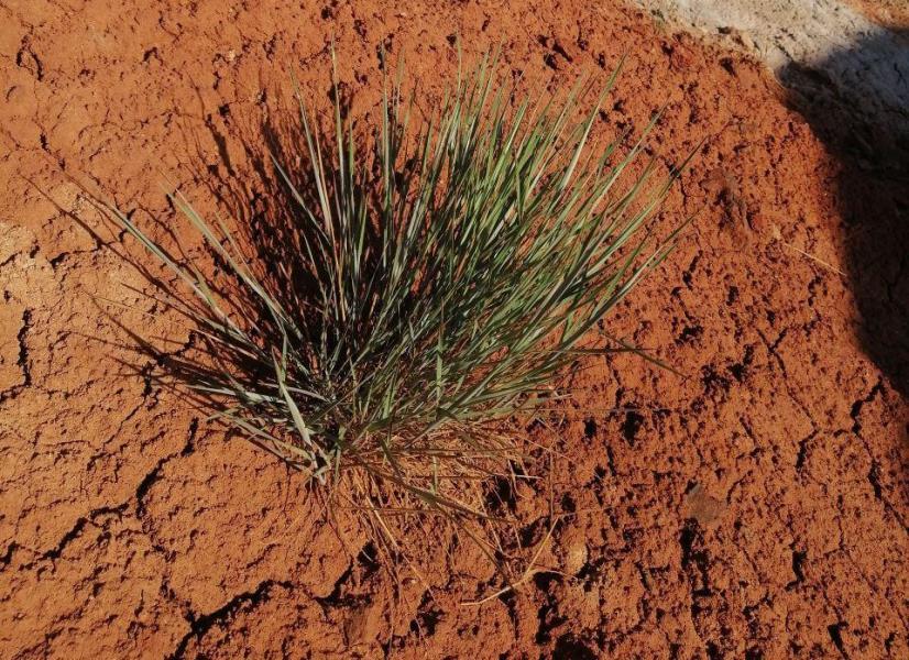 Марсианские пейзажи Марсианские пейзажи