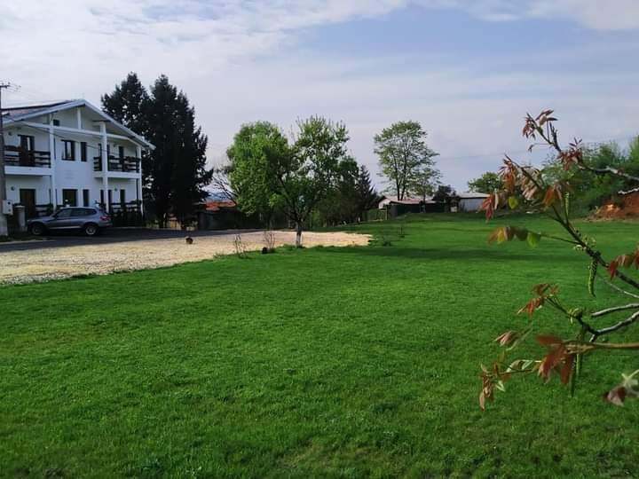 Территория перед домом была заброшена Территория перед домом была заброшена