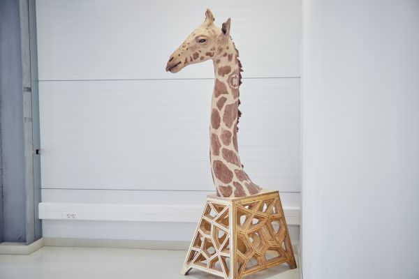 Жираф Жираф