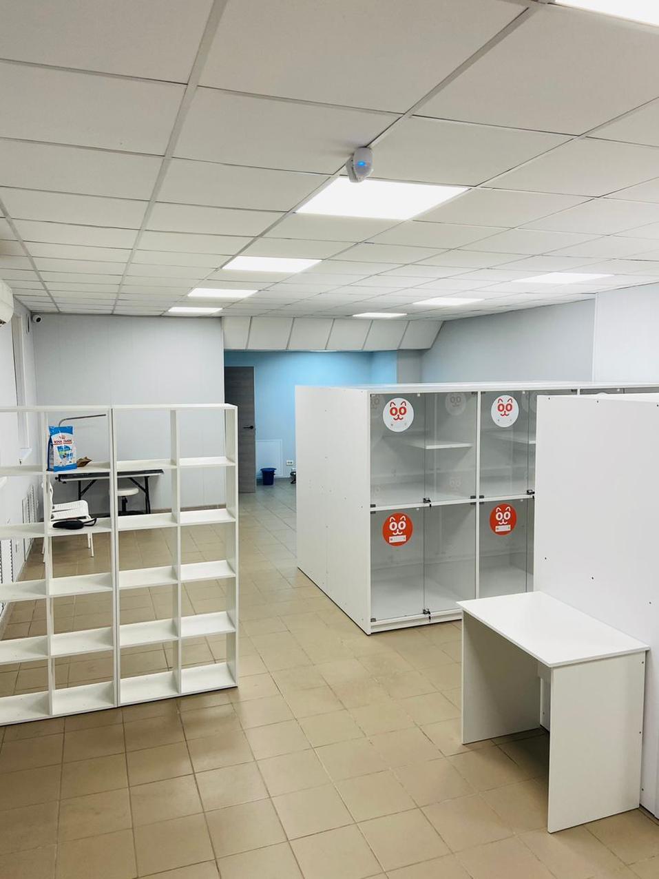 В Челябинске открылся лакшери-отель для кошек и собак с салоном красоты 3 В Челябинске открылся лакшери-отель для кошек и собак с салоном красоты 3