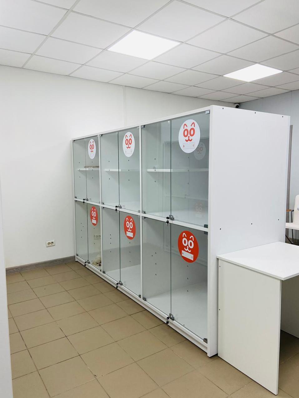 В Челябинске открылся лакшери-отель для кошек и собак с салоном красоты 2 В Челябинске открылся лакшери-отель для кошек и собак с салоном красоты 2