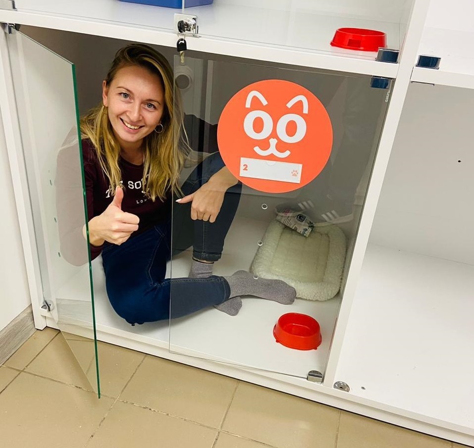 В Челябинске открылся лакшери-отель для кошек и собак с салоном красоты 5 В Челябинске открылся лакшери-отель для кошек и собак с салоном красоты 5