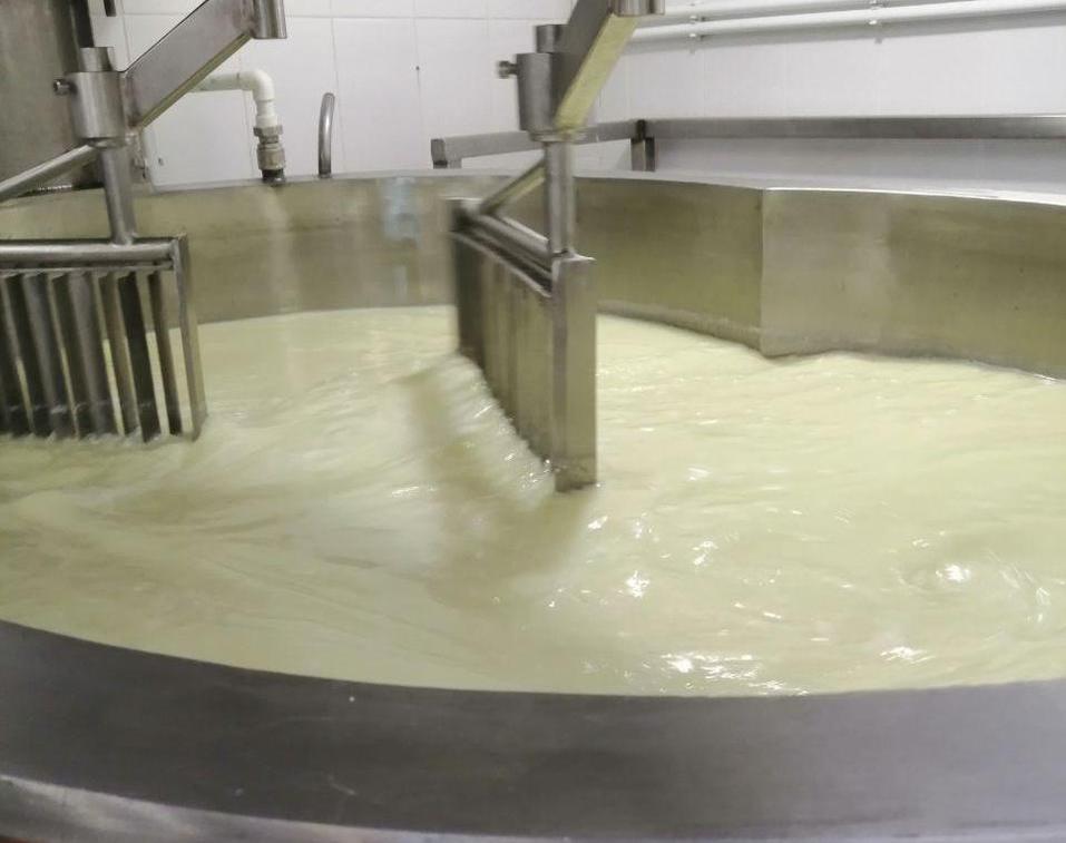 Молоко — главный ингредиент сыра Молоко — главный ингредиент сыра