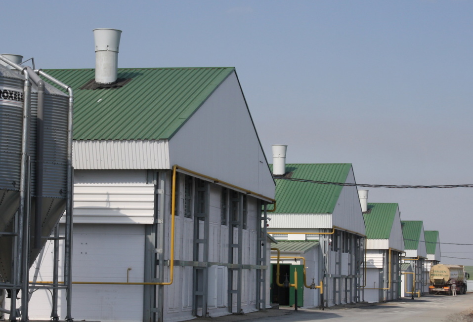 Капитальные вложения: какие инвестиционные проекты развиваются в регионе? 10 Капитальные вложения: какие инвестиционные проекты развиваются в регионе? 10