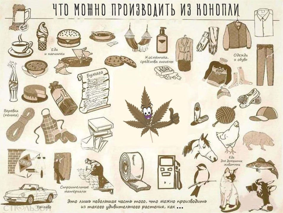 ООН исключил каннабис из списка тяжелых наркотиков
1 ООН исключил каннабис из списка тяжелых наркотиков
1