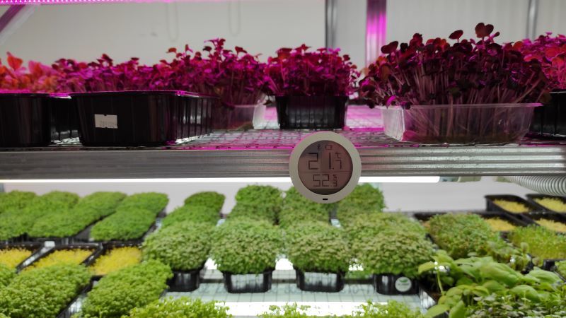 Влажность и температура Влажность и температура