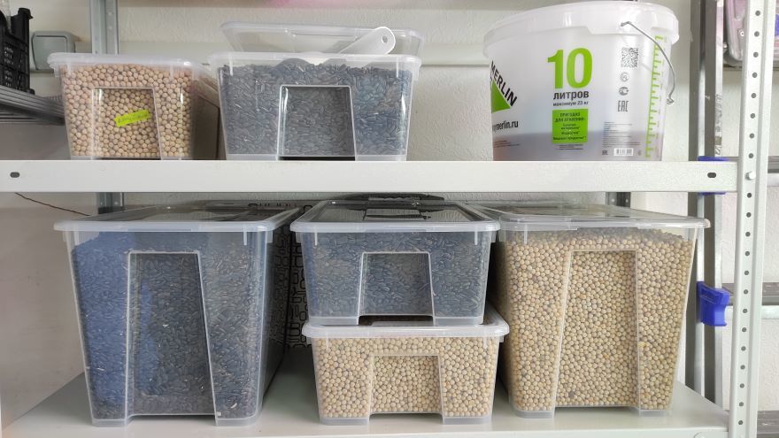 Семена Семена