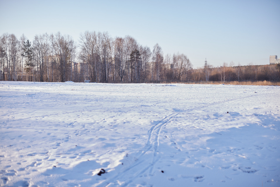 Генералы, самозахваты и подпольное казино. Как меняется крупнейший парк Екатеринбурга 1 Генералы, самозахваты и подпольное казино. Как меняется крупнейший парк Екатеринбурга 1