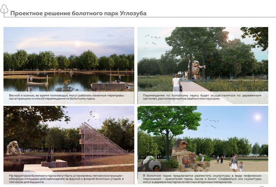 Проектные решения парка углозуба Проектные решения парка углозуба