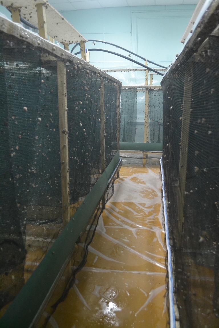 Зимние вольеры для улиток Зимние вольеры для улиток