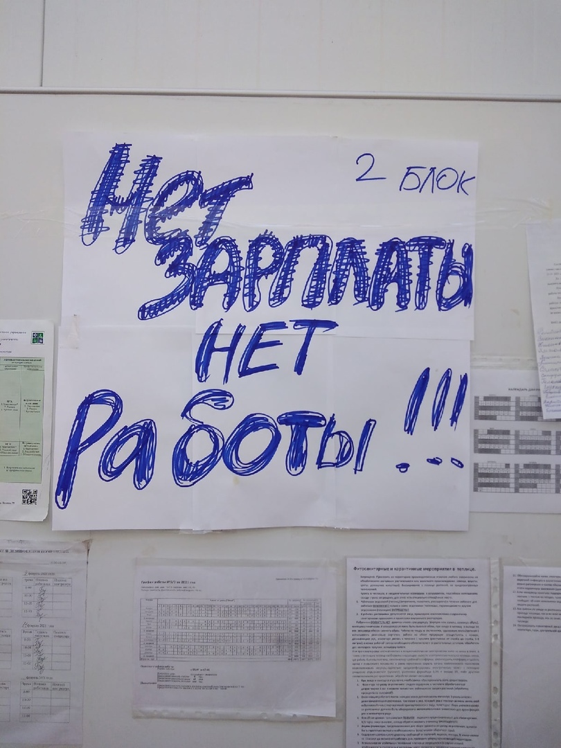 Работники агрокомплекса «Чурилово» устроили забастовку из-за задержки зарплат 1 Работники агрокомплекса «Чурилово» устроили забастовку из-за задержки зарплат 1