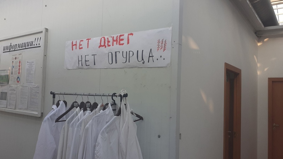 Работники агрокомплекса «Чурилово» устроили забастовку из-за задержки зарплат 2 Работники агрокомплекса «Чурилово» устроили забастовку из-за задержки зарплат 2