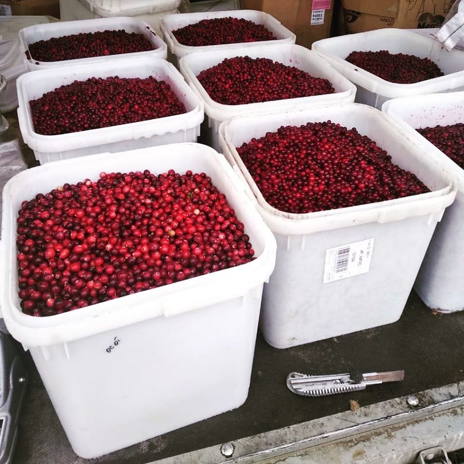 Как спасти бизнес в пандемию. Опыт мануфактуры «Дикая Сибирь» 1 Как спасти бизнес в пандемию. Опыт мануфактуры «Дикая Сибирь» 1