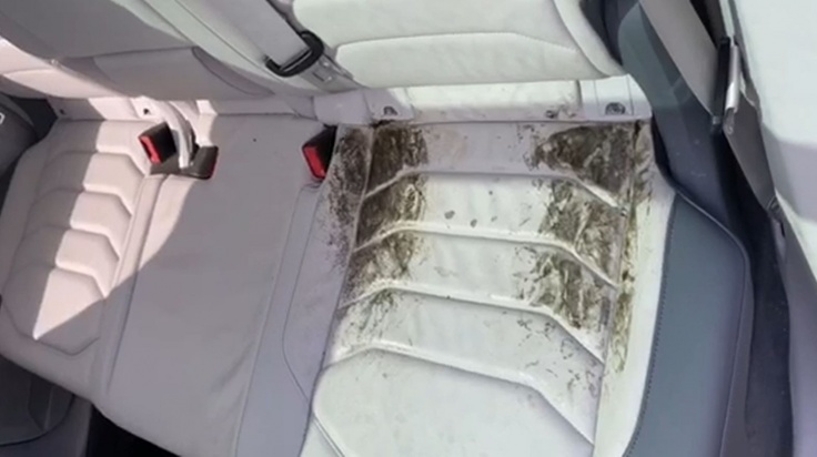 Южноуралец, купивший за 5 млн внедорожник с плесенью, отсудил деньги у автодилера 1 Южноуралец, купивший за 5 млн внедорожник с плесенью, отсудил деньги у автодилера 1