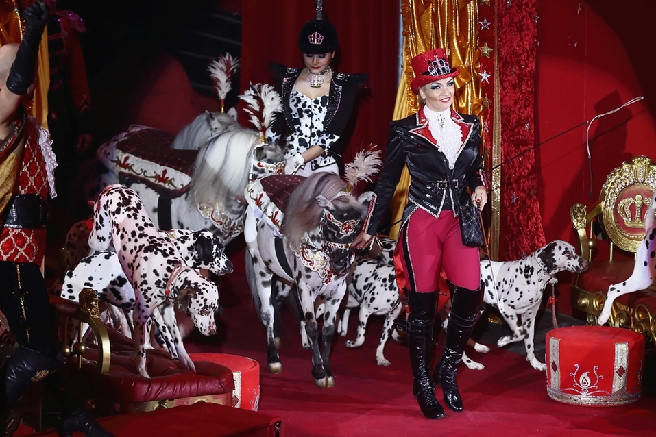 Нижегородский цирк откроется с 27 февраля новым шоу Гии Эрадзе «Бурлеск» (0+) 4 Нижегородский цирк откроется с 27 февраля новым шоу Гии Эрадзе «Бурлеск» (0+) 4