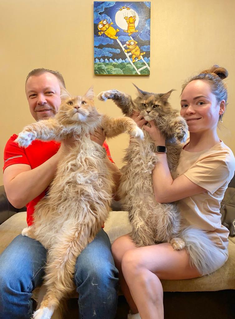 «Терпят нас за вкусняшки»: котики, которые стоят за екатеринбургскими бизнесменами 11 «Терпят нас за вкусняшки»: котики, которые стоят за екатеринбургскими бизнесменами 11