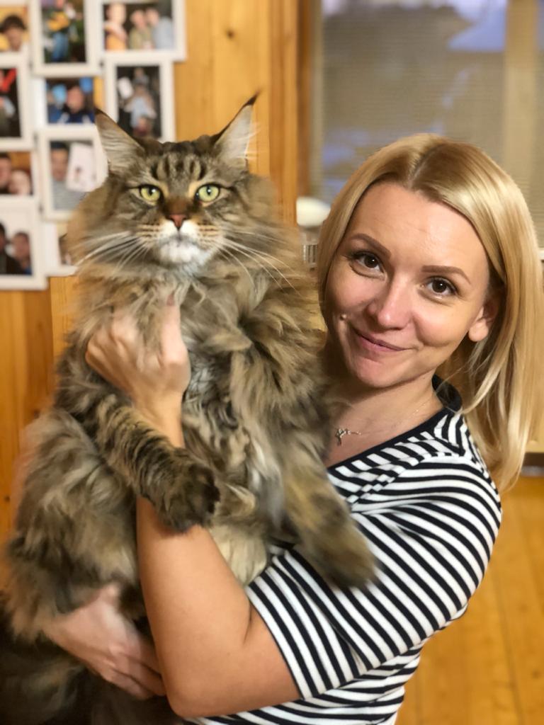 «Терпят нас за вкусняшки»: котики, которые стоят за екатеринбургскими бизнесменами 1 «Терпят нас за вкусняшки»: котики, которые стоят за екатеринбургскими бизнесменами 1