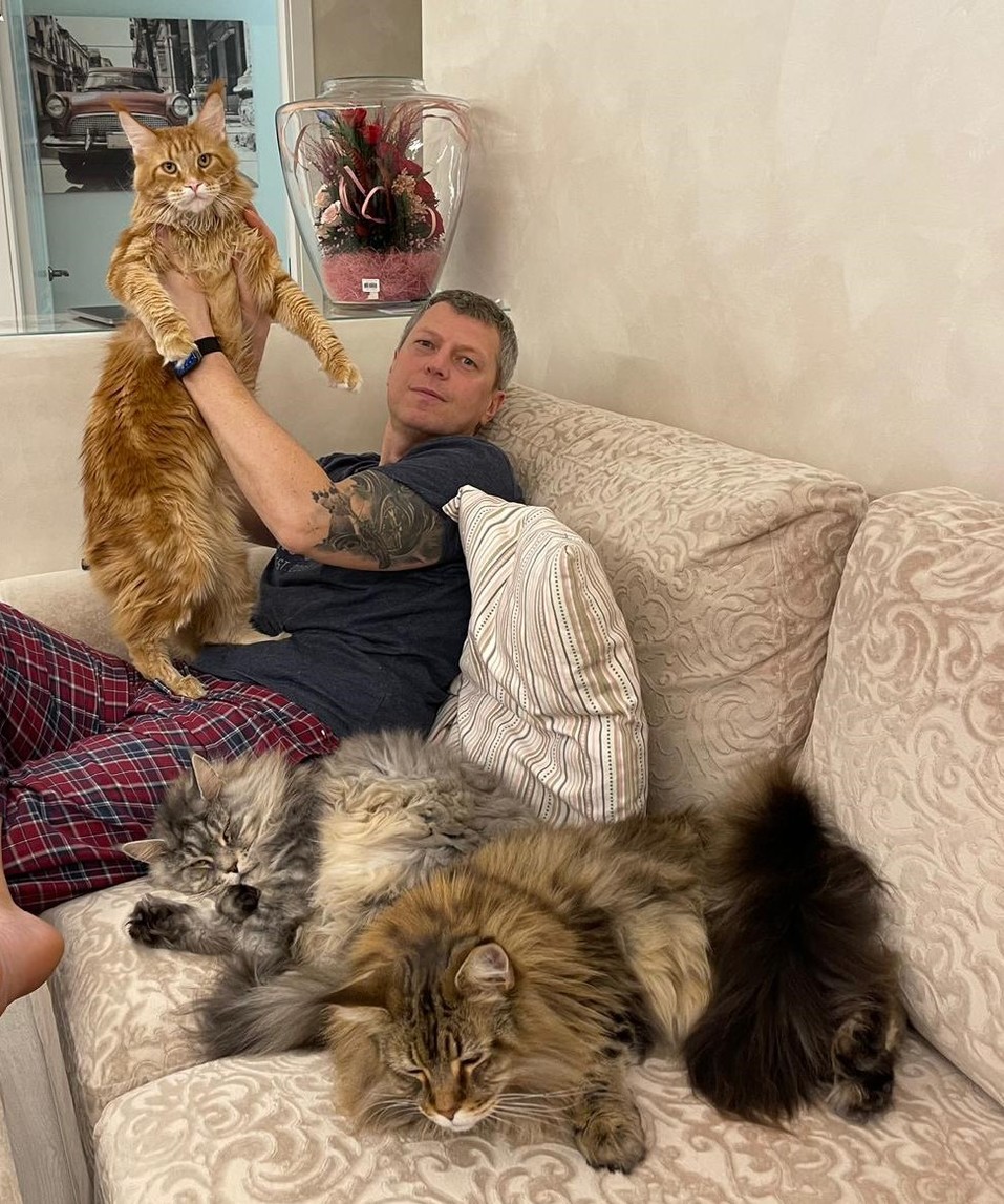 «Терпят нас за вкусняшки»: котики, которые стоят за екатеринбургскими бизнесменами 2 «Терпят нас за вкусняшки»: котики, которые стоят за екатеринбургскими бизнесменами 2