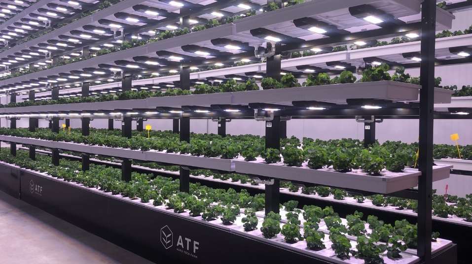 наSTART#5: Авторы технологии, которая позволит решить проблему дефицита еды, ищут партнера 1 наSTART#5: Авторы технологии, которая позволит решить проблему дефицита еды, ищут партнера 1