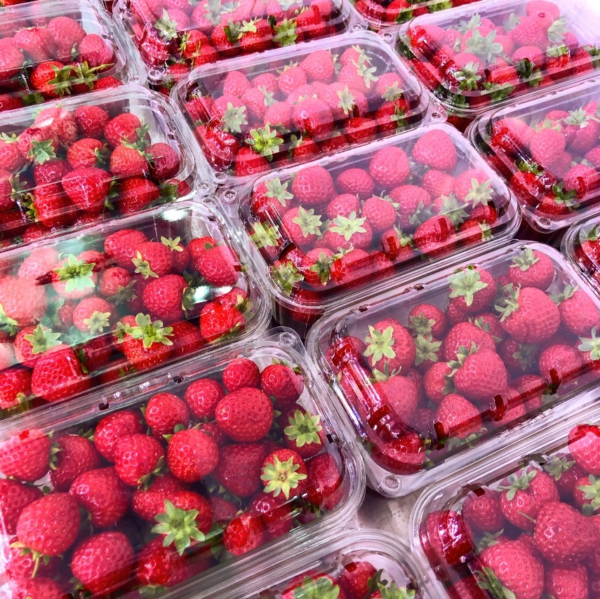 наSTART#5: Авторы технологии, которая позволит решить проблему дефицита еды, ищут партнера 2 наSTART#5: Авторы технологии, которая позволит решить проблему дефицита еды, ищут партнера 2