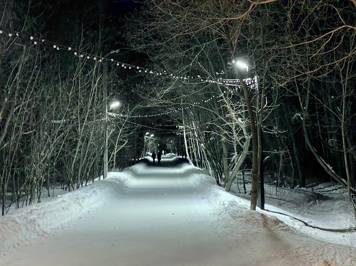 «Перевести очередную порцию бюджета»: челябинский урбанист раскритиковал тропу за 10 млн 1 «Перевести очередную порцию бюджета»: челябинский урбанист раскритиковал тропу за 10 млн 1
