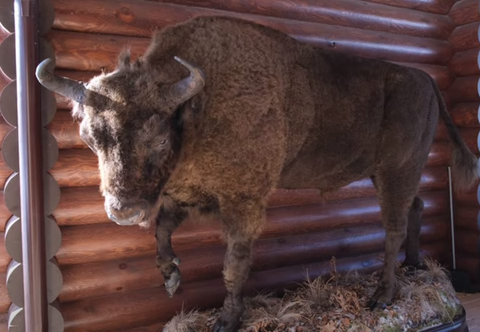 Охотничьи угодья Валерия Малышева: «Здесь любят отдыхать уральские олигархи» 5 Охотничьи угодья Валерия Малышева: «Здесь любят отдыхать уральские олигархи» 5