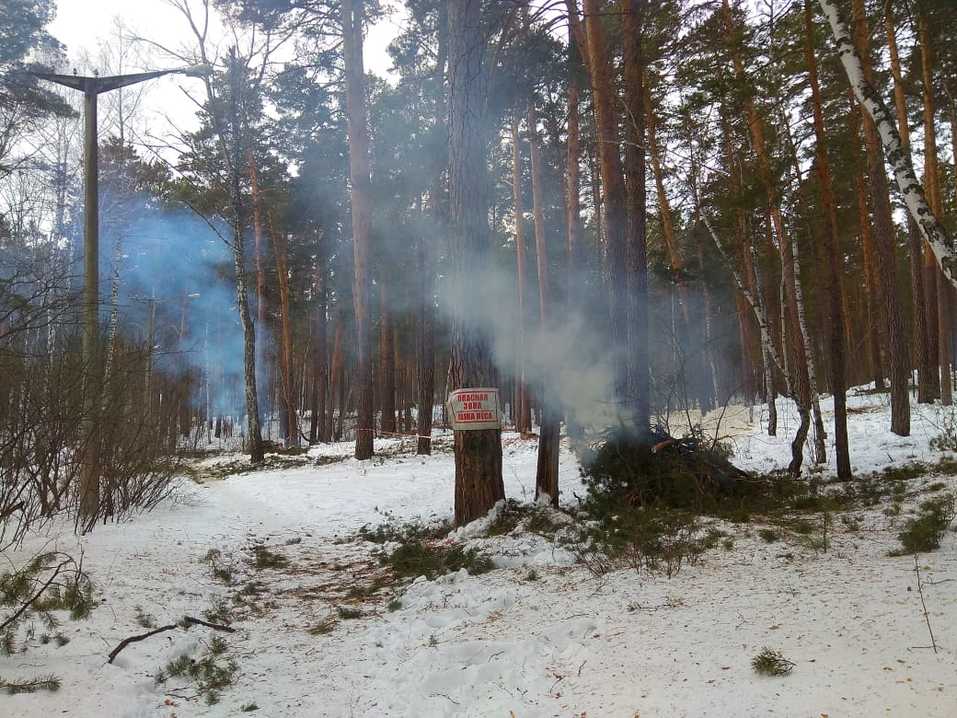 Жители сообщили о вырубках здоровых деревьев под видом больных в санатории Кисегач 2 Жители сообщили о вырубках здоровых деревьев под видом больных в санатории Кисегач 2