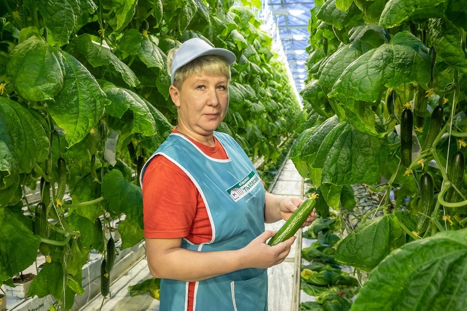 «10 лет назад приносили только убытки». Как работает самый крупный агрокомбинат области 3 «10 лет назад приносили только убытки». Как работает самый крупный агрокомбинат области 3