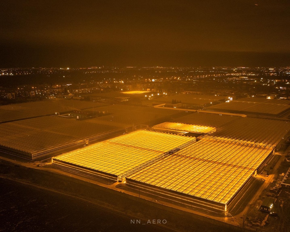 «10 лет назад приносили только убытки». Как работает самый крупный агрокомбинат области 2 «10 лет назад приносили только убытки». Как работает самый крупный агрокомбинат области 2