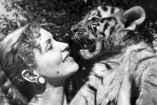 В Нижнем Новгороде прошла акция памяти Маргариты Назаровой 5 В Нижнем Новгороде прошла акция памяти Маргариты Назаровой 5