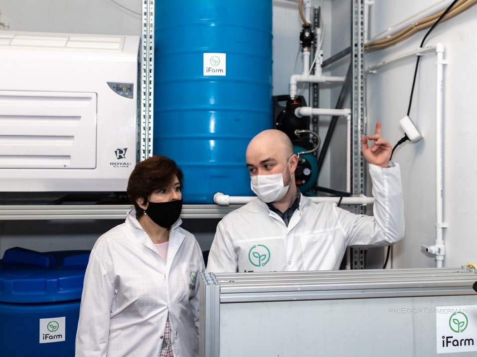 Новосибирский разработчик iFarm вырастил в мульти-лаборатории европейские сорта клубники 12 Новосибирский разработчик iFarm вырастил в мульти-лаборатории европейские сорта клубники 12