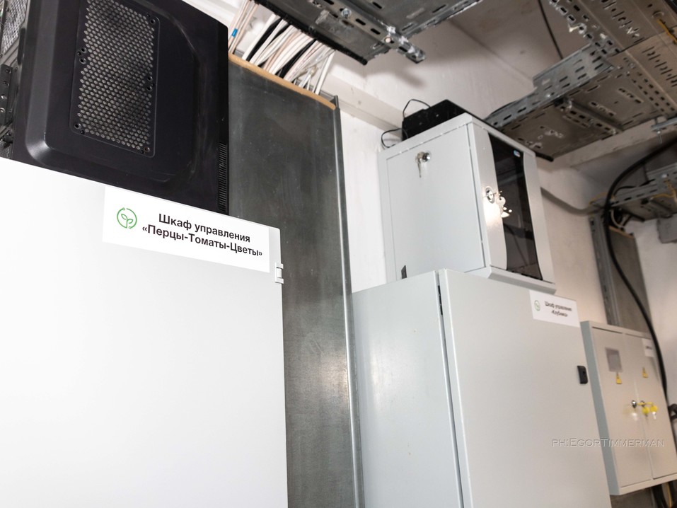 Новосибирский разработчик iFarm вырастил в мульти-лаборатории европейские сорта клубники 15 Новосибирский разработчик iFarm вырастил в мульти-лаборатории европейские сорта клубники 15