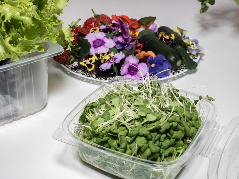 Новосибирский разработчик iFarm вырастил в мульти-лаборатории европейские сорта клубники 26 Новосибирский разработчик iFarm вырастил в мульти-лаборатории европейские сорта клубники 26