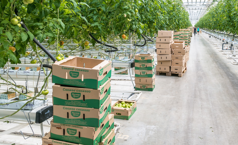 Гофротара. Фото: Антон Буценко для 66.RU Гофротара. Фото: Антон Буценко для 66.RU