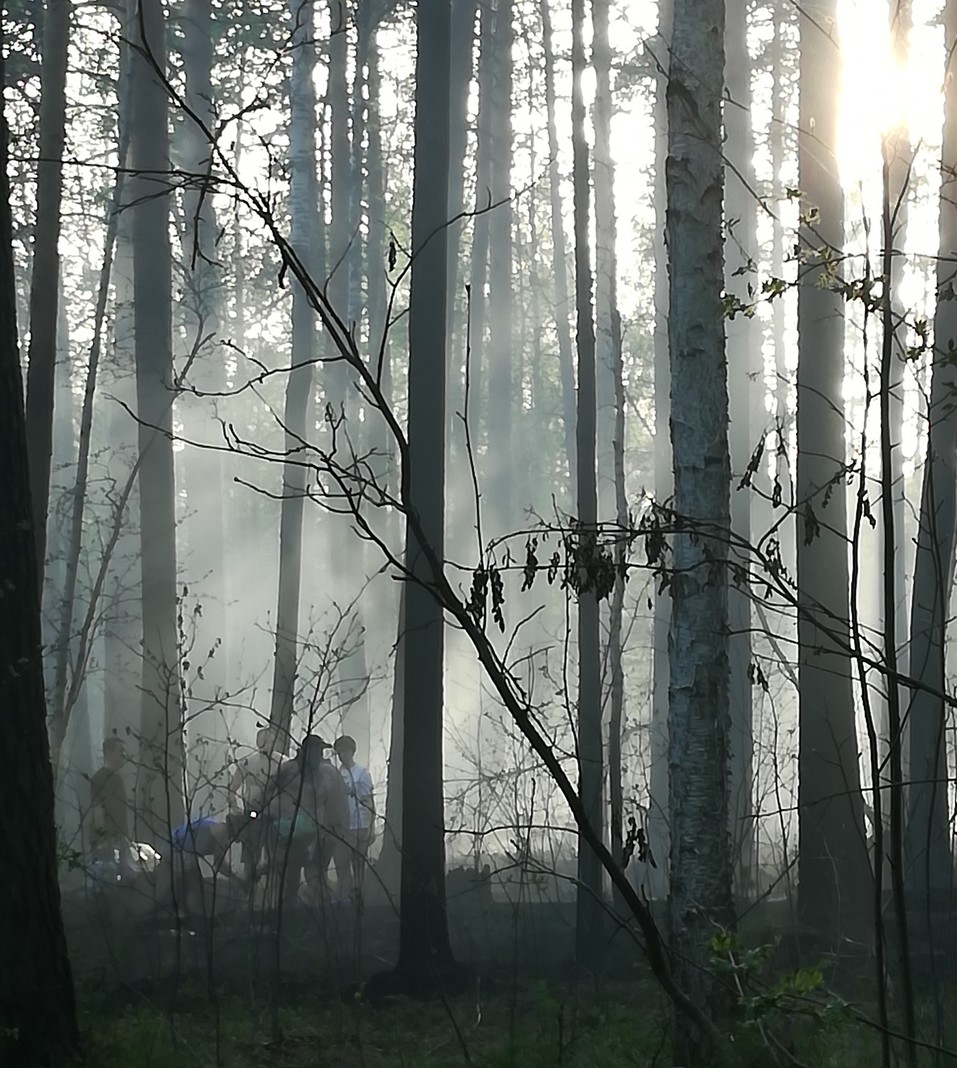 Пожар на Старомосковском тракте Пожар на Старомосковском тракте