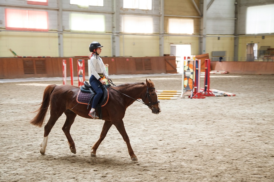 «Конноспортивный комплекс — не дорогая игрушка» — Наталья Алистратова, «Рифей» 2 «Конноспортивный комплекс — не дорогая игрушка» — Наталья Алистратова, «Рифей» 2