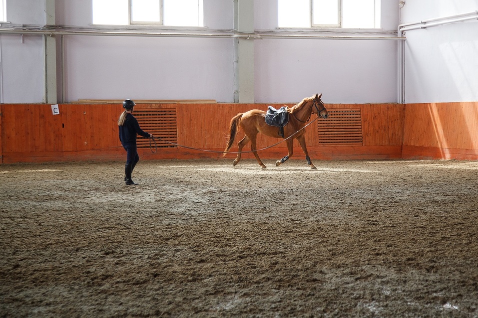 «Конноспортивный комплекс — не дорогая игрушка» — Наталья Алистратова, «Рифей» 4 «Конноспортивный комплекс — не дорогая игрушка» — Наталья Алистратова, «Рифей» 4