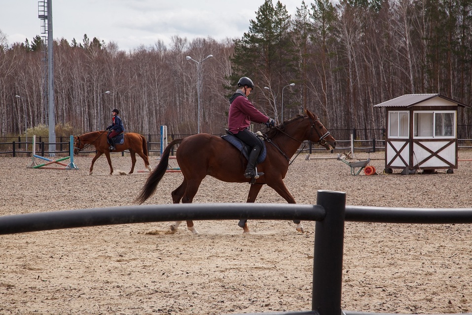 «Конноспортивный комплекс — не дорогая игрушка» — Наталья Алистратова, «Рифей» 6 «Конноспортивный комплекс — не дорогая игрушка» — Наталья Алистратова, «Рифей» 6