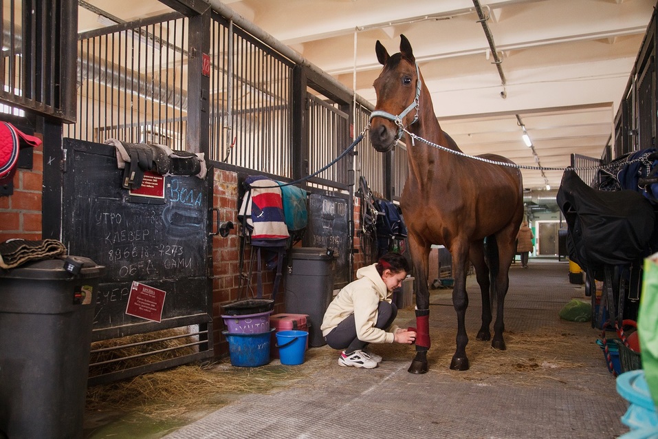 «Конноспортивный комплекс — не дорогая игрушка» — Наталья Алистратова, «Рифей» 5 «Конноспортивный комплекс — не дорогая игрушка» — Наталья Алистратова, «Рифей» 5