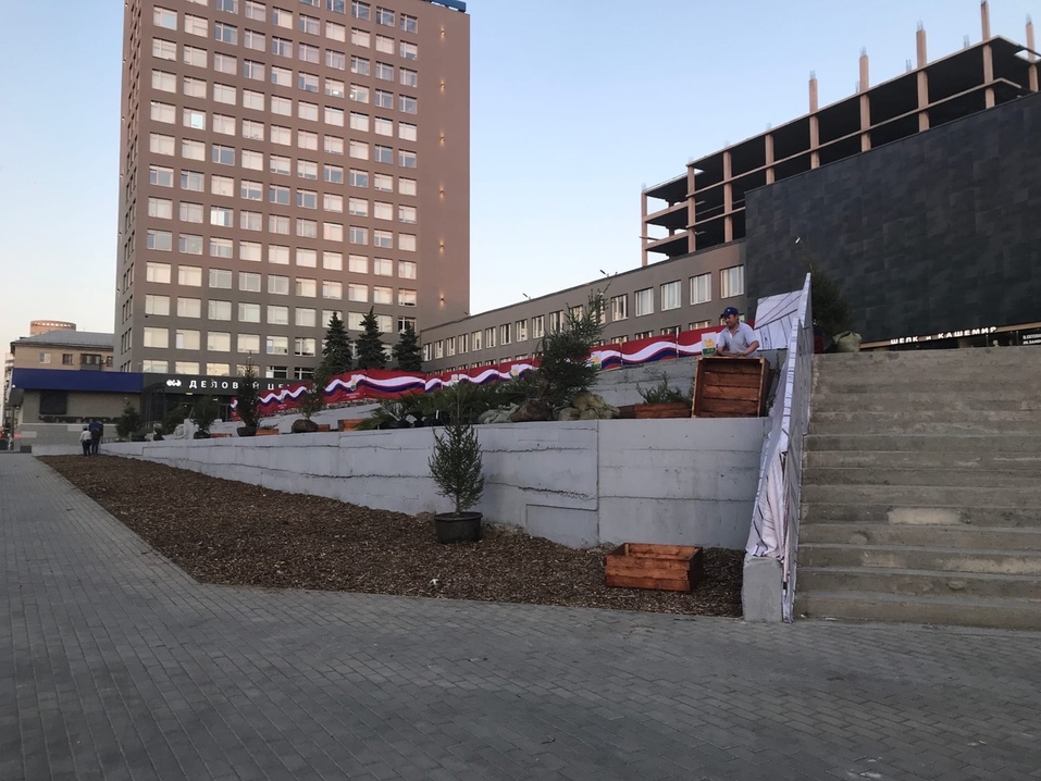 Возле челябинского Центра международной торговли за ночь выросли ели 2 Возле челябинского Центра международной торговли за ночь выросли ели 2