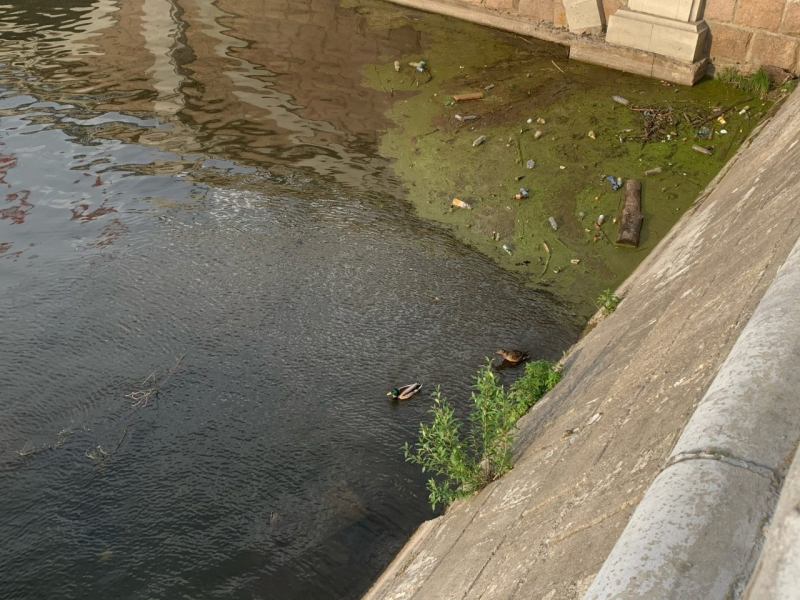 «Ни один крупный город не может так позориться»: в Челябинске игнорируют уборку территорий 1 «Ни один крупный город не может так позориться»: в Челябинске игнорируют уборку территорий 1