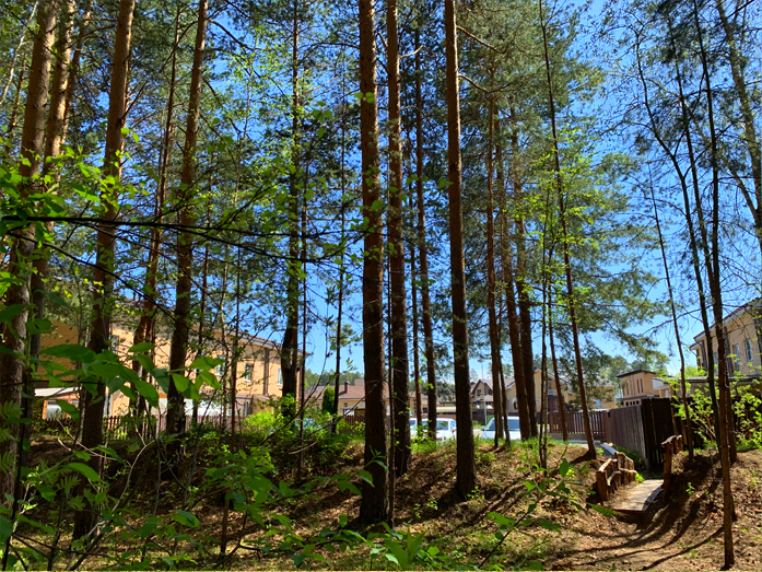 «Люди судят о загородной жизни по красивым картинкам. Мы превращаем ее в реальность» 9 «Люди судят о загородной жизни по красивым картинкам. Мы превращаем ее в реальность» 9