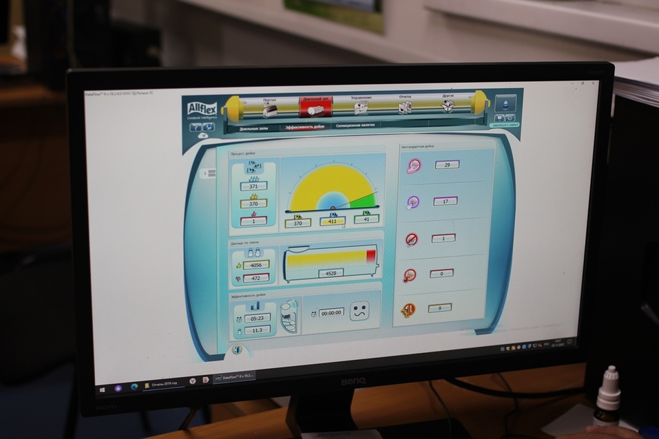 Следят за животными с помощью израильской системы управления стадом SCR. Следят за животными с помощью израильской системы управления стадом SCR.