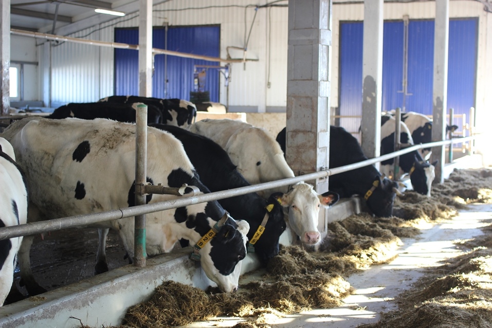 Сегодня комплекс выглядит современно и снаружи, и внутри Сегодня комплекс выглядит современно и снаружи, и внутри