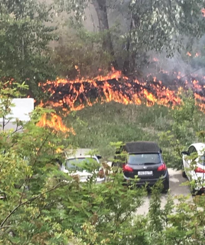 Пожар на Уктусе. Фото: Е1 Пожар на Уктусе. Фото: Е1