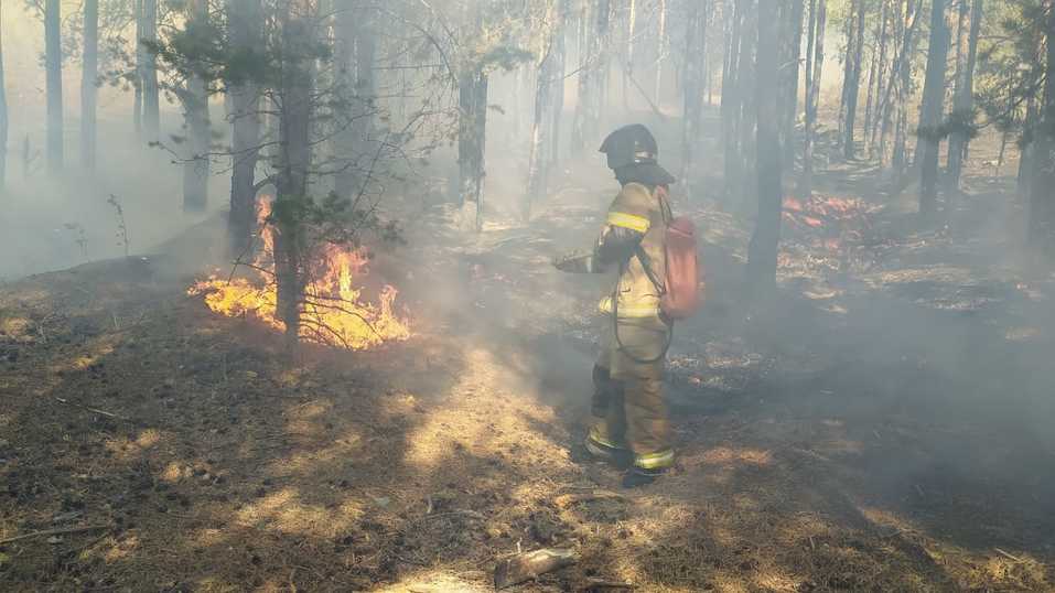 Пожар в Сысерти Пожар в Сысерти