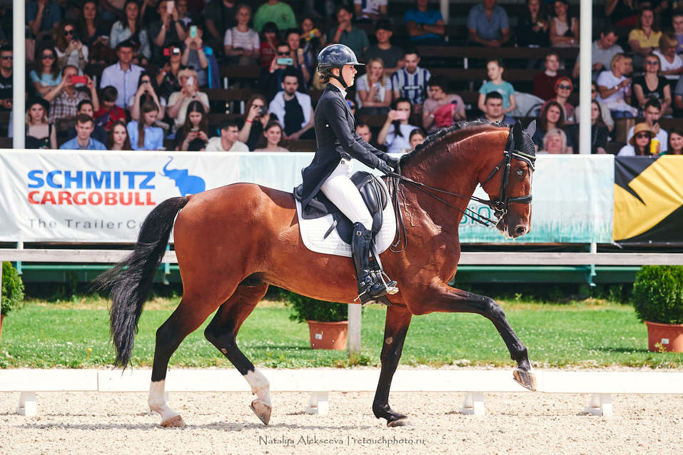 Этап Кубка мира по выездке-2021 впервые за 15 лет выиграл мужчина 1 Этап Кубка мира по выездке-2021 впервые за 15 лет выиграл мужчина 1