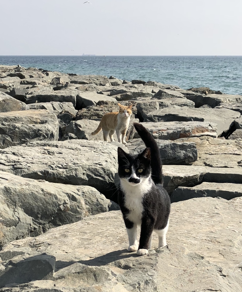 Куда улететь туристу из Нижнего? Вариантов немного 1 Куда улететь туристу из Нижнего? Вариантов немного 1